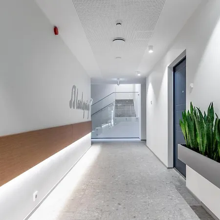 Apartment Laulupargi Lux