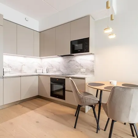 Apartment Laulupargi Lux *